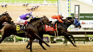 Dr. Venkman, Del Mar, 2025 Pat OBrien Stakes, Breeders Cup Dirt Mile.
